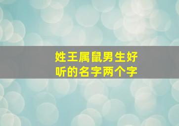 姓王属鼠男生好听的名字两个字,姓王男孩属鼠