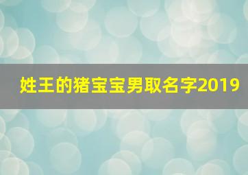 姓王的猪宝宝男取名字2019,王姓男孩名字属猪