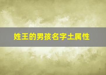 姓王的男孩名字土属性,王姓土命男孩起名