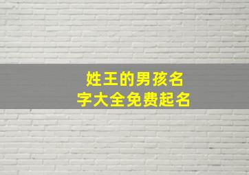 姓王的男孩名字大全免费起名,姓王的男孩儿名字大全