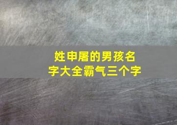 姓申屠的男孩名字大全霸气三个字,申屠姓取名