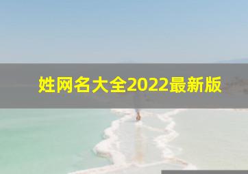 姓网名大全2022最新版,2022最洋气的网名