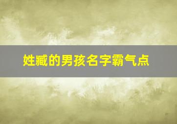 姓臧的男孩名字霸气点,姓臧的男孩名字霸气点的有哪些