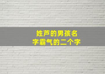 姓芦的男孩名字霸气的二个字,芦姓霸气点的名字大全