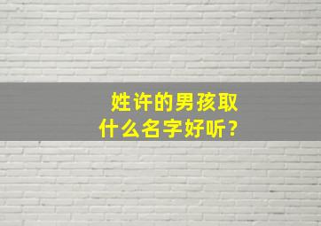 姓许的男孩取什么名字好听？