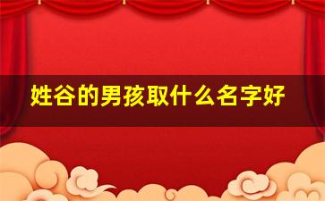 姓谷的男孩取什么名字好,姓谷的男孩取什么名字好一点