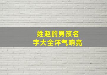 姓赵的男孩名字大全洋气响亮,姓赵的男孩名字大全洋气响亮两个字