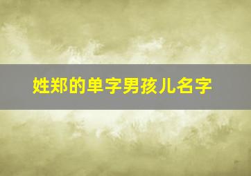 姓郑的单字男孩儿名字,独一无二好听姓郑的男孩