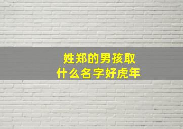 姓郑的男孩取什么名字好虎年,姓郑的男孩取什么名字好免费