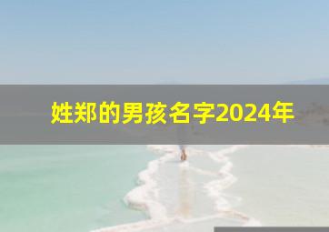 姓郑的男孩名字2024年,姓郑男孩名字2024年1月出生