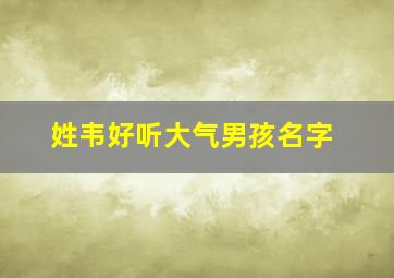 姓韦好听大气男孩名字,姓韦的男宝宝名字大全