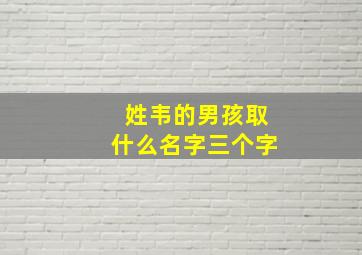 姓韦的男孩取什么名字三个字,姓韦最简单洋气的名字男孩