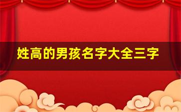 姓高的男孩名字大全三字,高姓男孩取名三个字