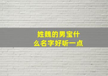 姓魏的男宝什么名字好听一点,姓魏的男宝宝名字大全