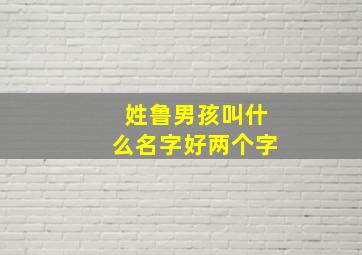 姓鲁男孩叫什么名字好两个字,姓鲁的男孩取什么名字好