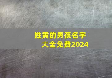 姓黄的男孩名字大全免费2024,黄姓男孩名字大全2024