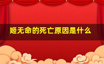 姬无命的死亡原因是什么,姬无命咋死的