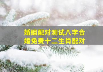 婚姻配对测试八字合婚免费十二生肖配对,八字免费配对测试婚姻配对上中下等婚配表