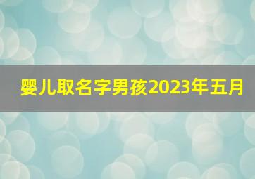 婴儿取名字男孩2023年五月,属兔2023年5月22日出生的男孩名字