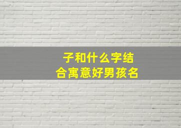 子和什么字结合寓意好男孩名,和子字搭配的男孩名字