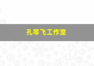 孔琴飞工作室,孔飞群个人资料