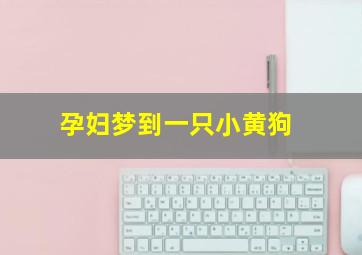 孕妇梦到一只小黄狗,孕妇梦到一只小黄狗一只小白狗