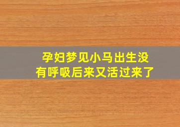 孕妇梦见小马出生没有呼吸后来又活过来了