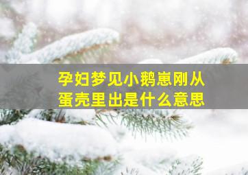 孕妇梦见小鹅崽刚从蛋壳里出是什么意思