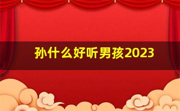 孙什么好听男孩2023,2023年名字大全男孩名字排行榜