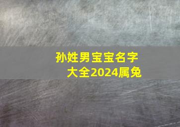 孙姓男宝宝名字大全2024属兔,孙姓男宝取名