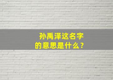 孙禹泽这名字的意思是什么？,孙禹哲名字的含义