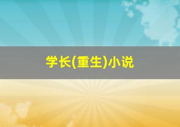 学长(重生)小说,《学长[重生]》txt下载在线阅读全文