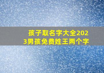 孩子取名字大全2023男孩免费姓王两个字,2023年王姓宝宝取名怎么取姓王的女孩男孩满分起名