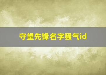 守望先锋名字骚气id,守望先锋个性id名字