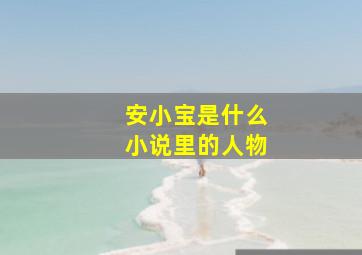 安小宝是什么小说里的人物