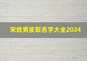 宋姓男孩取名字大全2024,宋姓男孩取名字大全2024