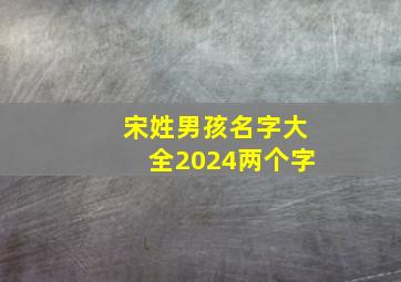 宋姓男孩名字大全2024两个字,宋姓男孩名字大全2024两字