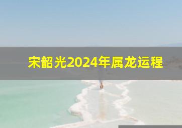 宋韶光2024年属龙运程,2024年属龙人的全年运势详解