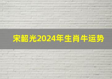 宋韶光2024年生肖牛运势,2024年属牛人的全年运势