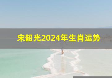 宋韶光2024年生肖运势,2024年横财运最好的人