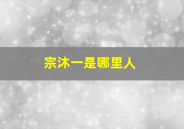 宗沐一是哪里人,宗一名字怎么样