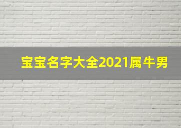 宝宝名字大全2021属牛男,牛年男宝宝起名字