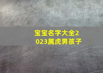 宝宝名字大全2023属虎男孩子,属虎2023年1月27日出生的男孩取名