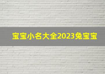 宝宝小名大全2023兔宝宝,2023兔宝宝小名大全男孩俏皮好听的宝宝乳名