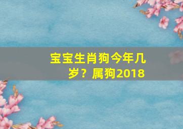 宝宝生肖狗今年几岁？属狗2018