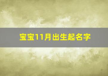 宝宝11月出生起名字,11月出生的宝宝取名