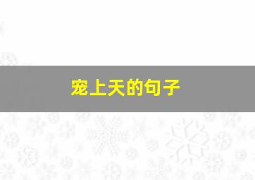 宠上天的句子,形容被宠上天的句子