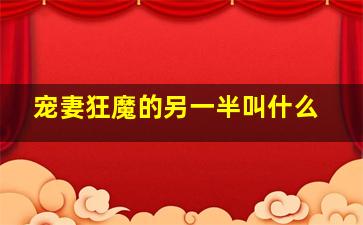 宠妻狂魔的另一半叫什么,宠妻狂魔