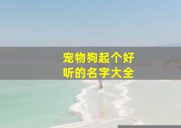 宠物狗起个好听的名字大全,宠物狗起什么名字最好听