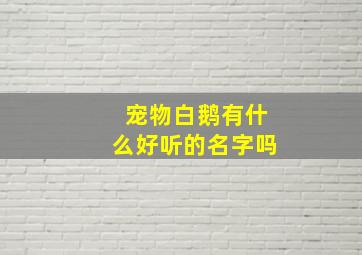 宠物白鹅有什么好听的名字吗,白鹅的品种有哪些